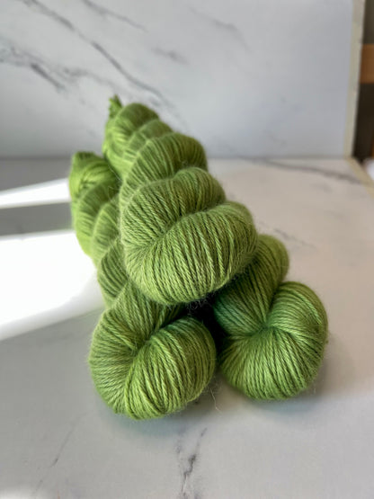 KASMERA DK - New Shoot